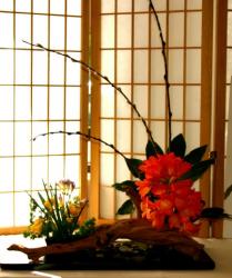 ikebana1.jpg